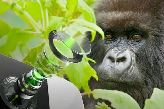 gorilla glass kamera smartphone