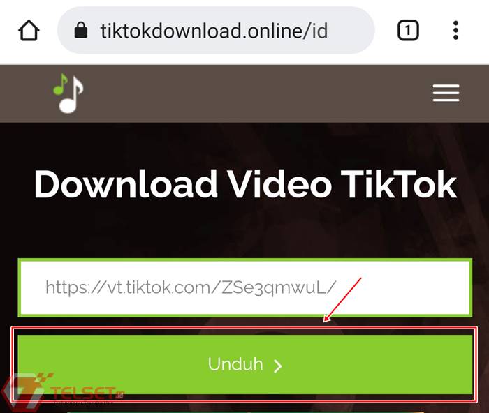 TikTok Watermark 