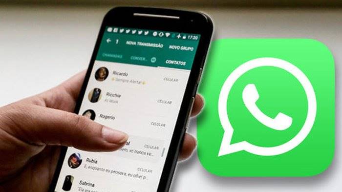 WhatsApp Multi Device 4 perangkat