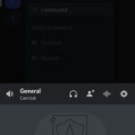 Cara Setting Voice Video Call Discord-1