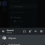 Cara Setting Voice Video Call Discord-2
