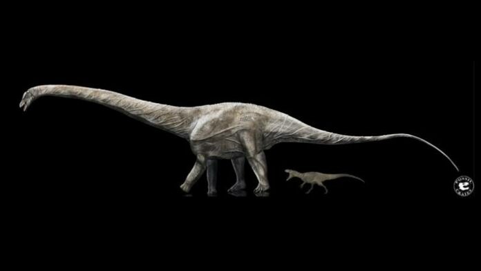 Fosil Supersaurus dinosaurus terpanjang terbesar