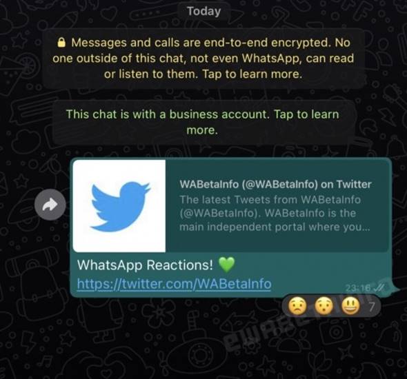 Privasi akun WhatsApp Web