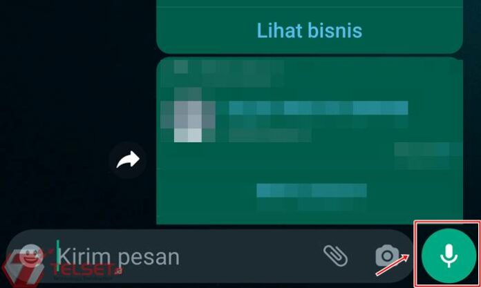 Cara Pakai Preview Voice Note Di Whatsapp, Cek Dulu Sebelum Kirim