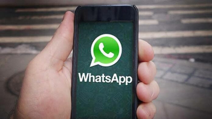 Admin grup hapus chat WhatsApp