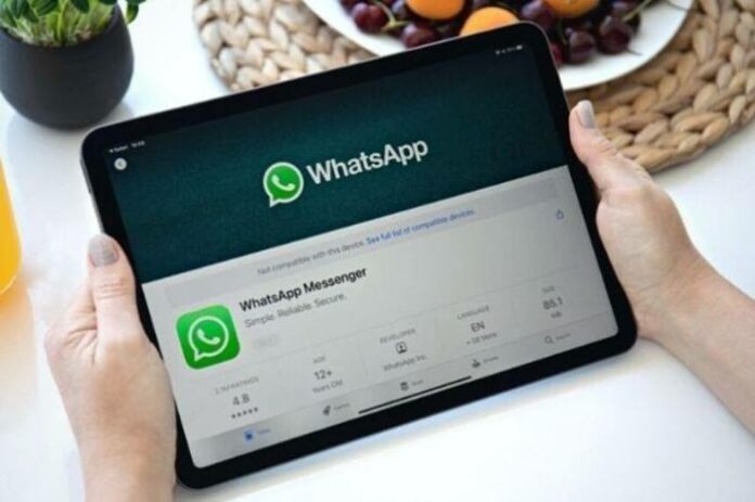 Aplikasi WhatsApp Apple iPad