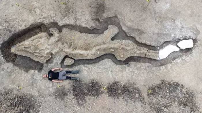 Fosil Naga Laut Raksasa Ditemukan, Penemuan Terbesar dalam Sejarah