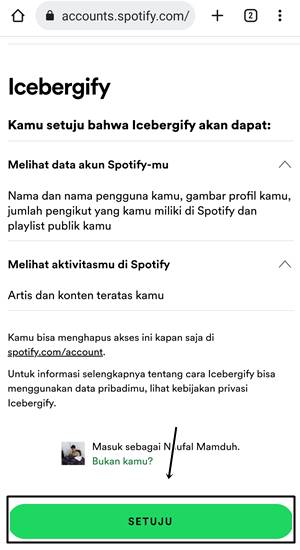 Spotify Iceberg 