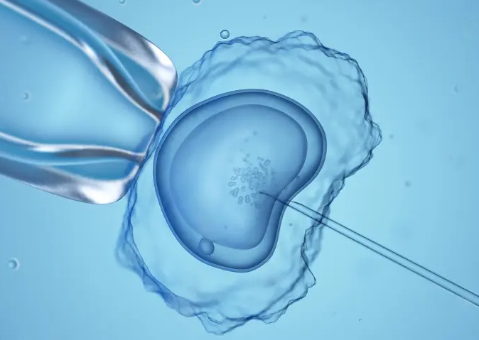 Embrio Manusia