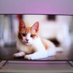 Kelebihan Xiaomi TV Q1E 55 Inci
