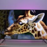 Layar Xiaomi TV