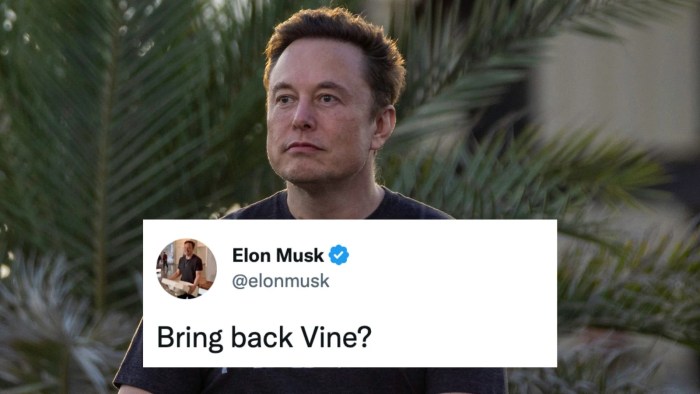 Elon Musk Ingin Twitter “Membangkitkan” Vine, Bakal Jadi Pesaing TikTok