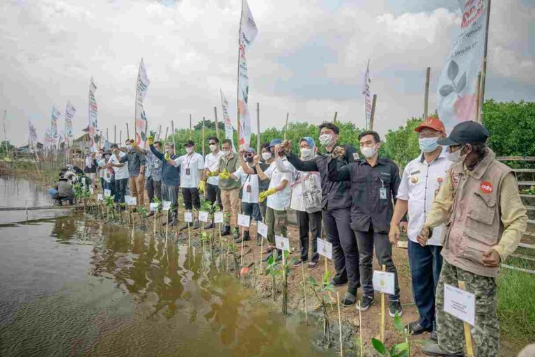 Program Mengurangi Perubahan Iklim
