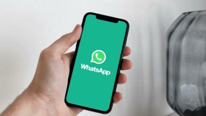 WhatsApp Video Call Grup 32 Orang 2