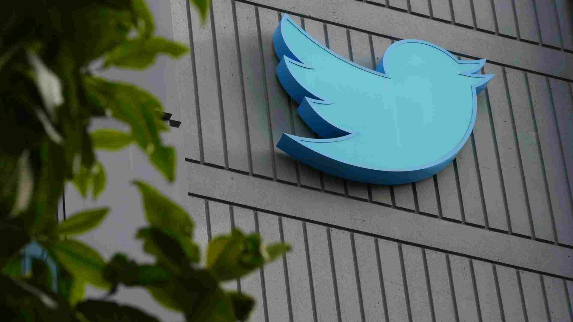 Twitter Buka Pendaftaran Akses Awal Verifikasi Akun Organisasi