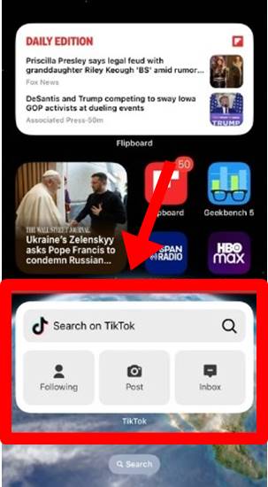 Widget Pencarian TikTok iOS