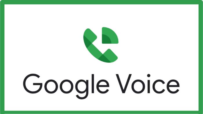 Google Voice Perlindungan Spam