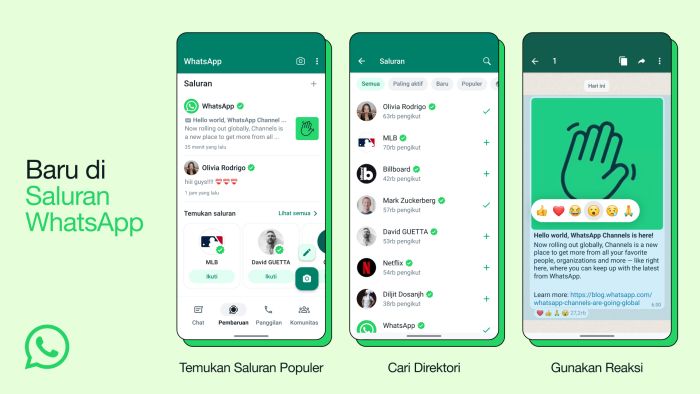 Saluran WhatsApp Channel Indonesia