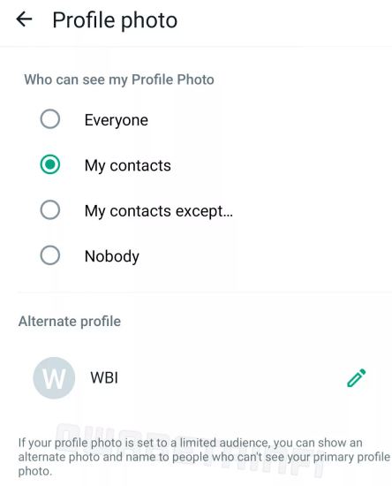 WhatsApp Profil Alternatif 