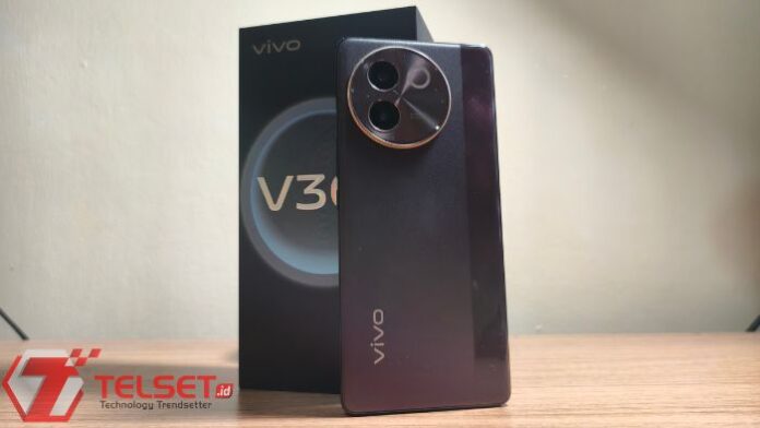 Review Vivo V30e