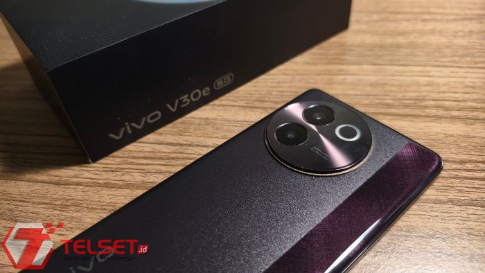 Review Vivo V30e