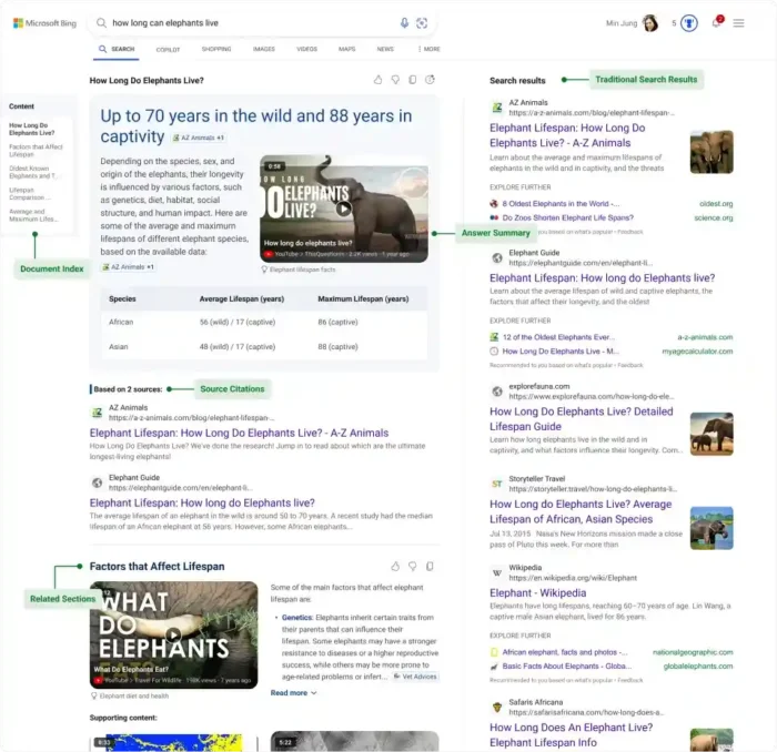 Microsoft Bing Ringkasan AI