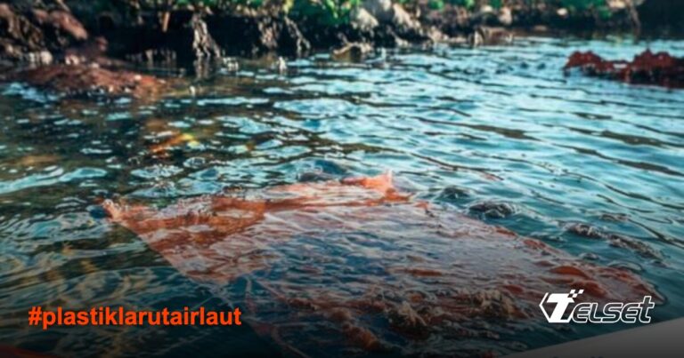 Ilmuwan Jepang Ciptakan Plastik Ramah Lingkungan yang Larut di Air Laut