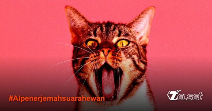 Ilustrasi kucing dan AI penerjemah suara hewan