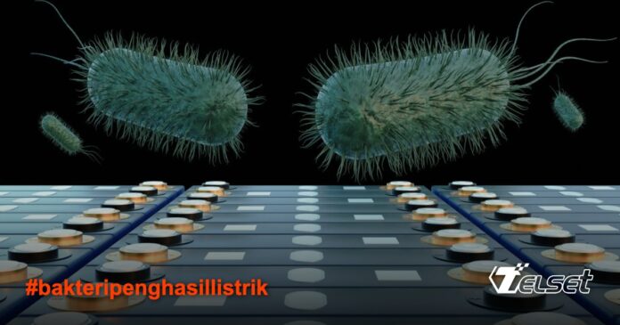 Ilustrasi bakteri penghasil listrik dalam penelitian energi terbarukan