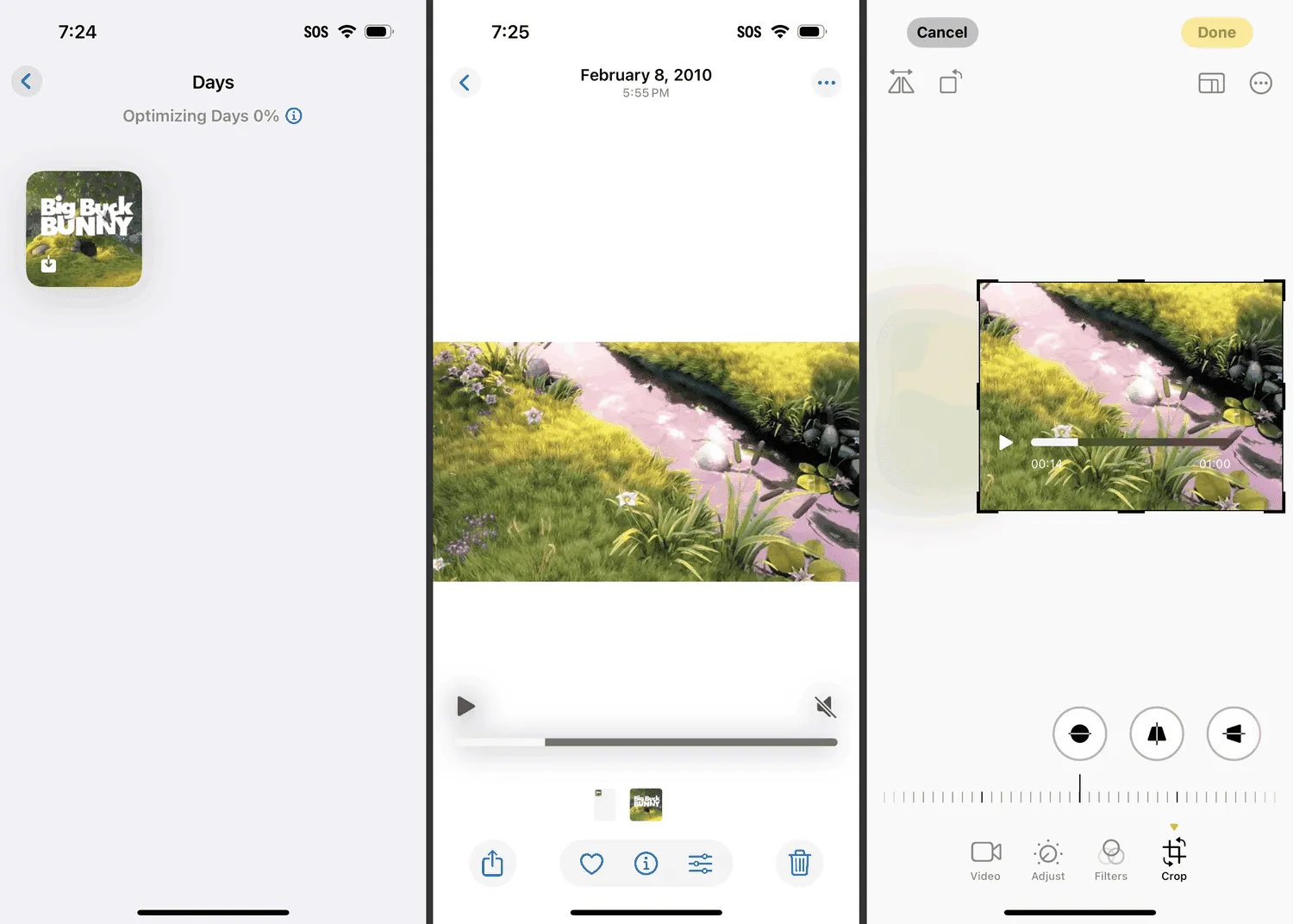 Crop option for a video in the iPhone Photos app