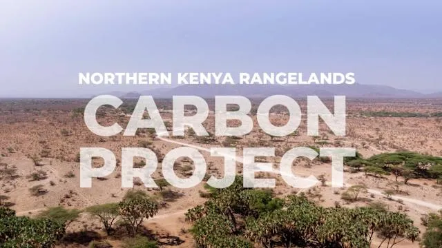 Konflik peternak Maasai dengan proyek karbon di Kenya