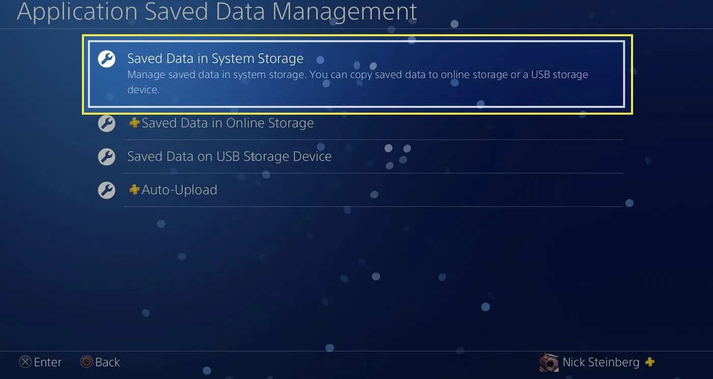 Checking Saved Data in System Storage on PS4 with message highlighted