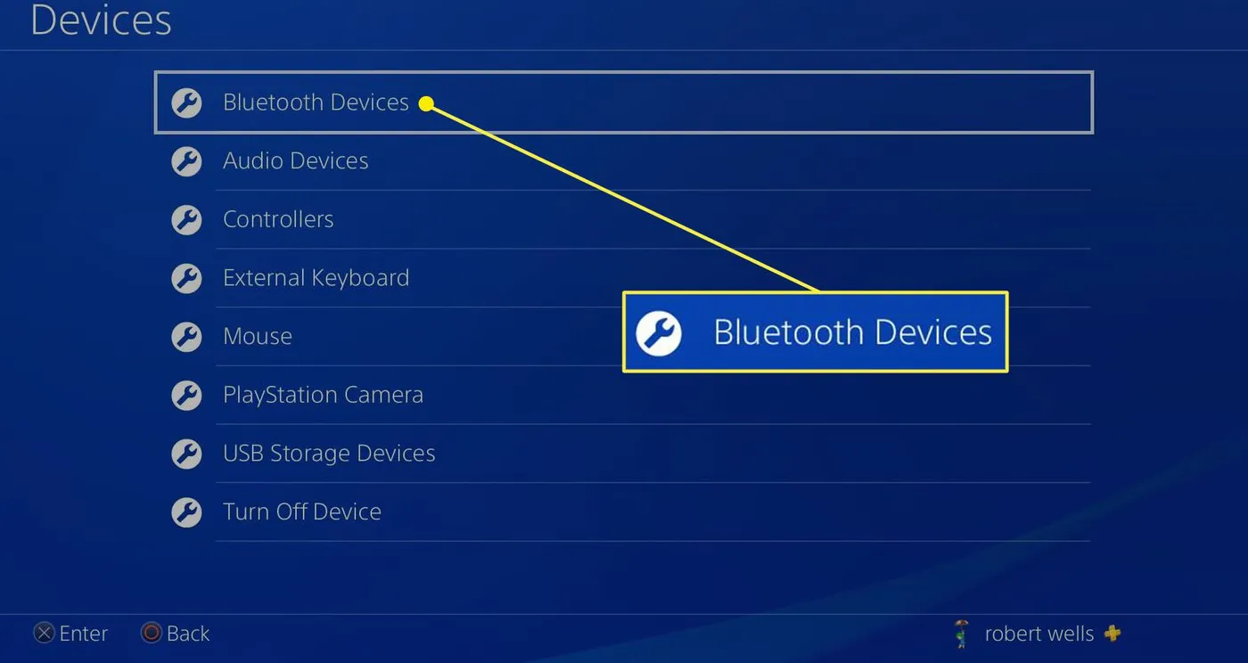 Select Bluetooth Devices.