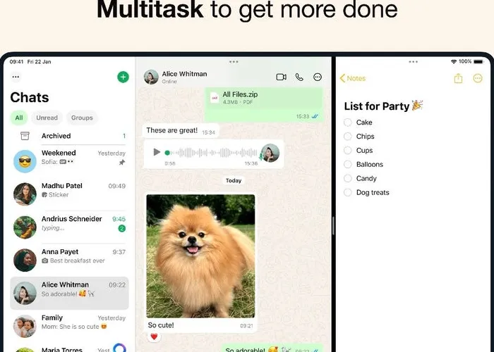 Meta finally gives iPad users better messaging experience with a native WhatsApp app
