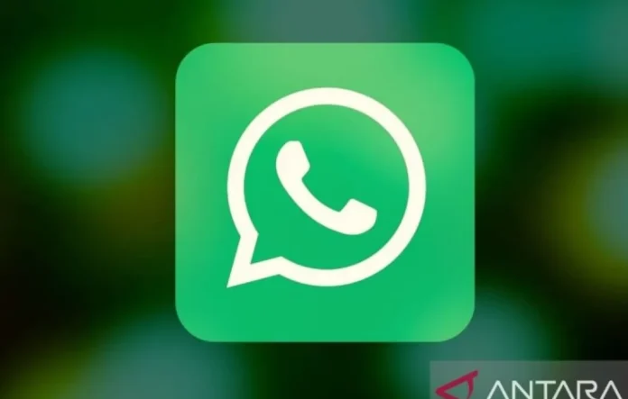 Cegah peretasan, ini cara efektif jaga akun WhatsApp Anda