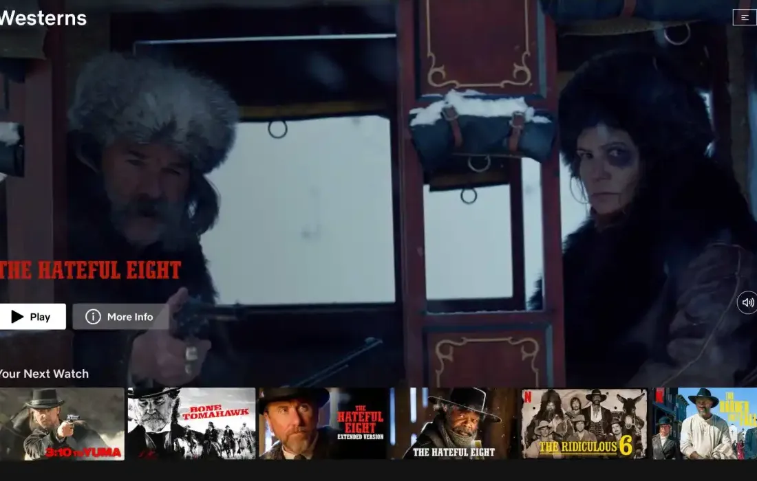 Neflix subgenre