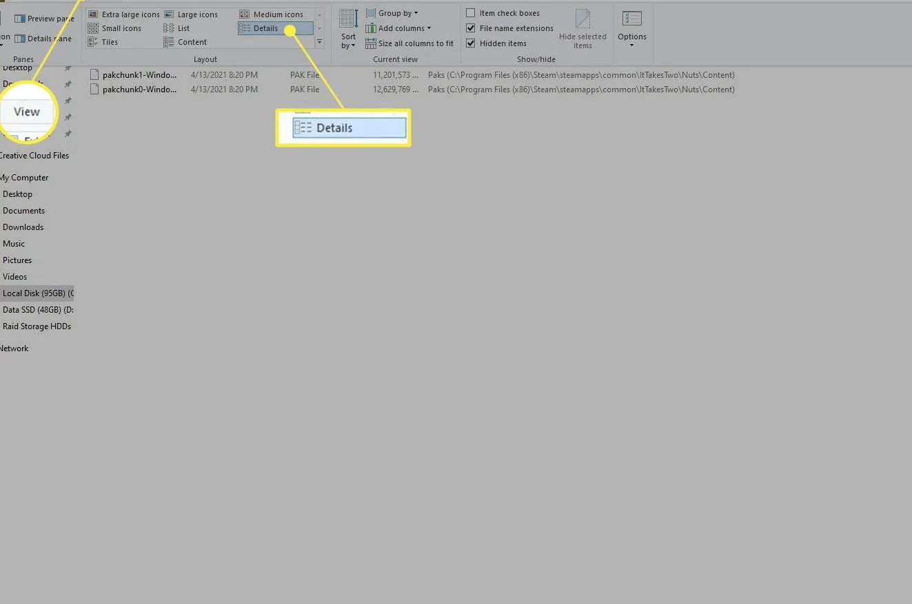 Windows 10 Explorer with the View tab and Details option highlighted
