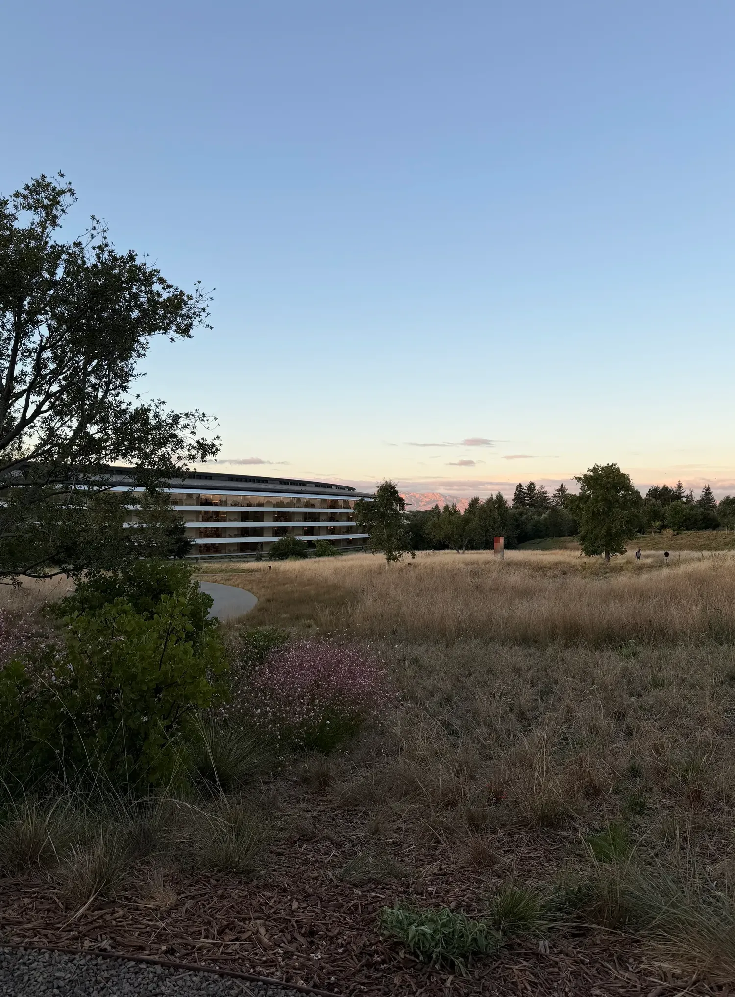 iPhone 17 Perkenalkan 3 Fitur Kamera Baru yang Revolusioner